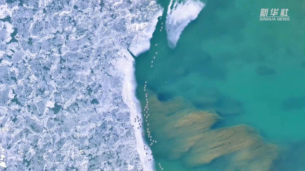 世界水日·黄河首尾对话｜源头回响：千湖梦归来