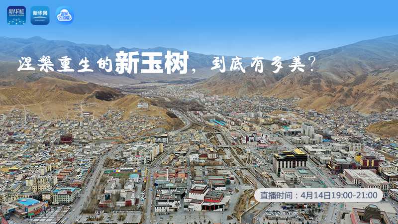 涅槃重生的新玉樹，到底有多美？