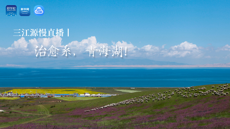 三江源慢直播丨治愈系，青海湖！