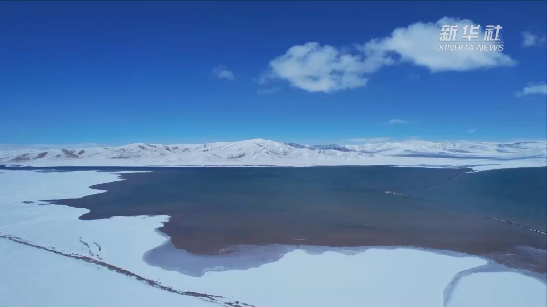 青?，敹啵憾喾N珍稀野生動物亮相黃河源頭