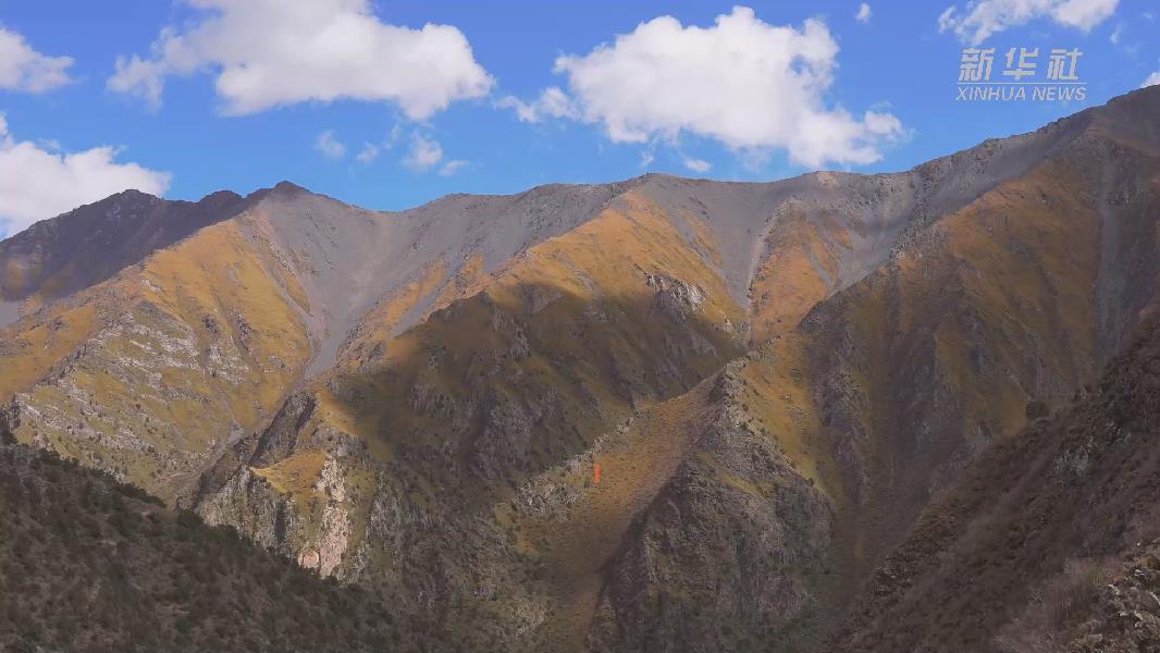 4362張照片！他們在這里堅持10年開展雪豹種群動態(tài)研究